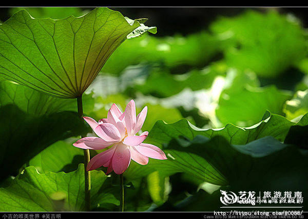 北京最全旅游攻略,北京旅游超全攻略最新