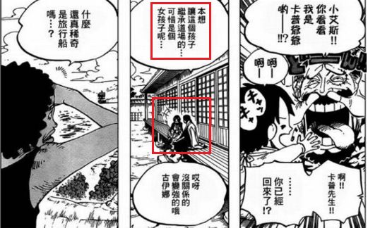 海贼王里的克洛克达尔是不是女的,海贼王克洛克达尔