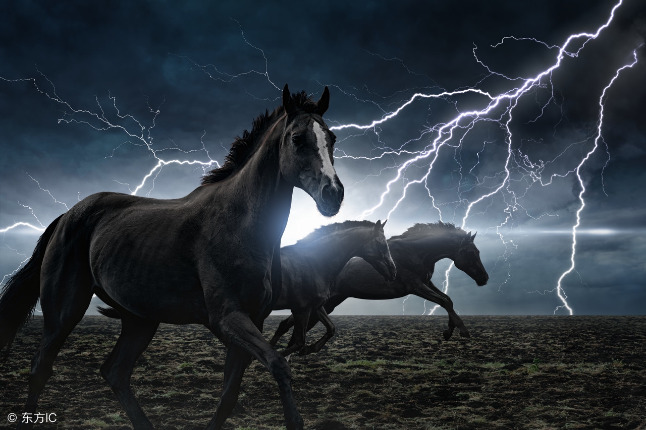 高手绝技,高手选股秘籍