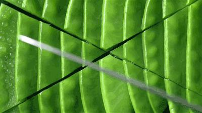 北京雨花斋免费的素食餐厅,营养丰富的素食餐厅推荐