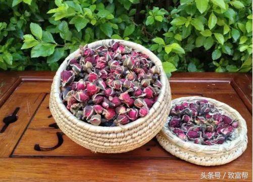 一周致富锦囊经典语录,四条致富指南请你用心收藏