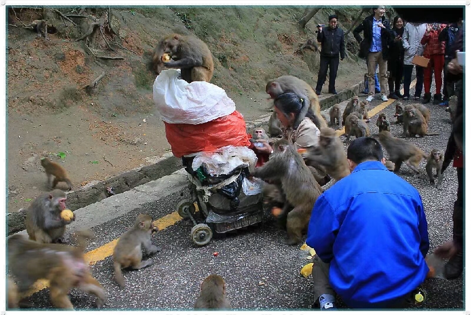 黔灵山地形图,黔灵山脉图片