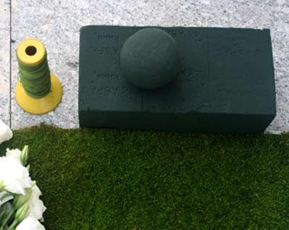 苔藓球植物养殖方法,苔藓球种植方法视频