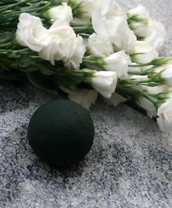 苔藓球植物养殖方法,苔藓球种植方法视频