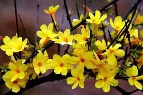 郑州一秒入夏的视频,民生大参考最新视频郑州一秒入夏