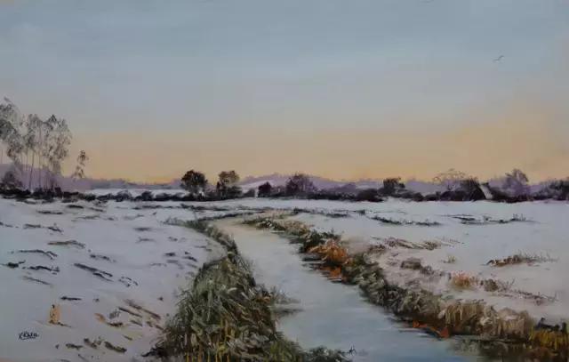 毕加索的画卖120亿,毕加索画作拍卖11亿