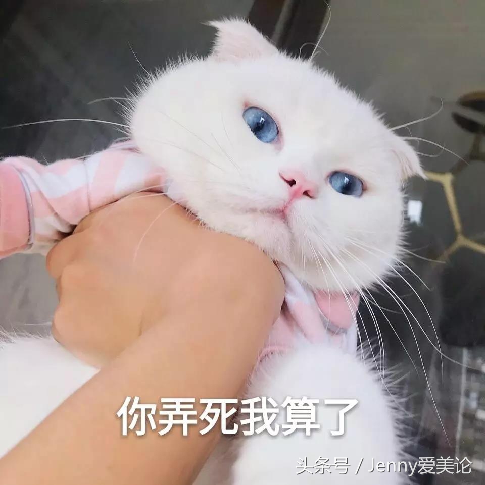 macdior口红对比,macdior阿玛尼香奈儿