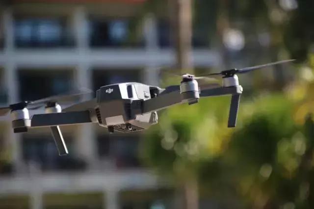 美娜多11月,为你还原真实燕窝