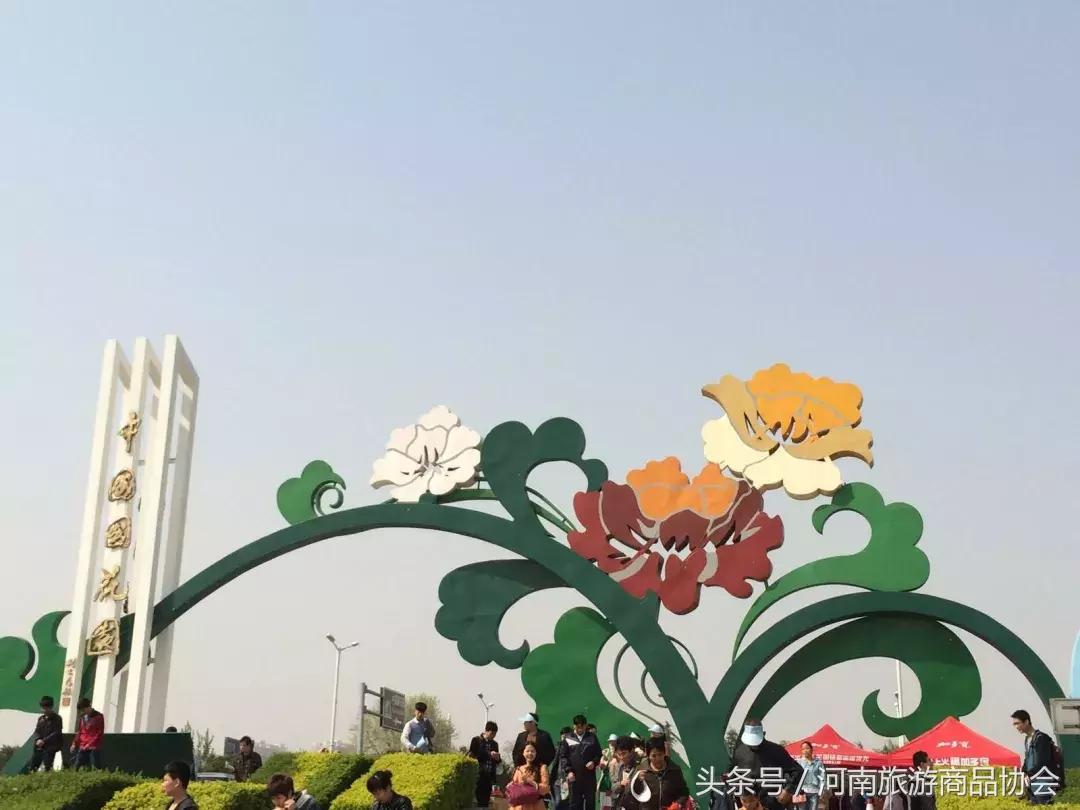 玩转洛阳多少钱,玩转洛阳市