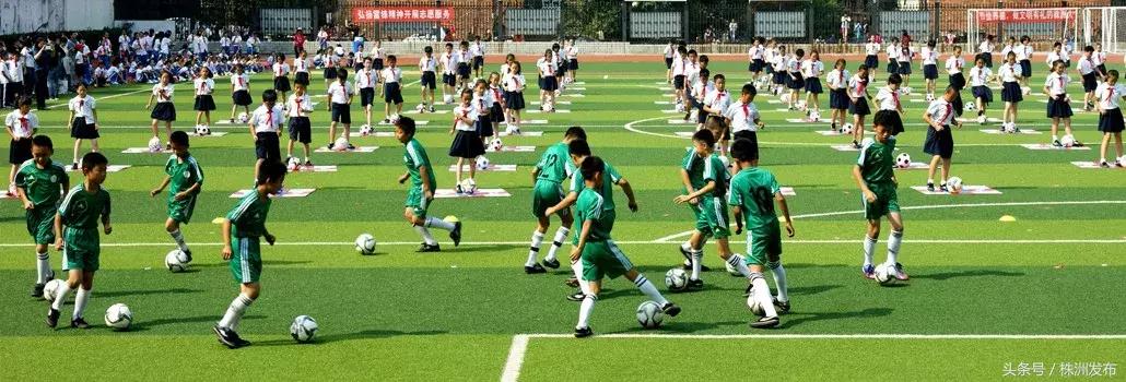 株洲公办小学学费一般多少钱,小学学费收费标准2021年株洲