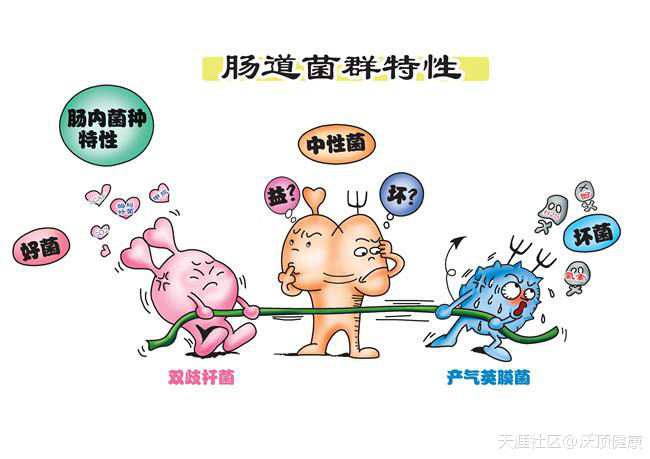 春节吃油腻了教您轻松解腻法,春节吃得太油腻了可以吃啥