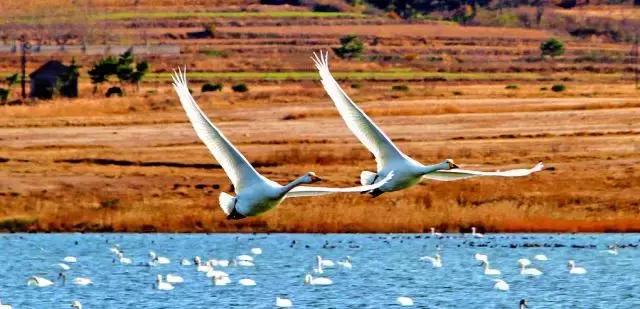 理科生的表白文科生看不懂,收到别人的匿名表白要怎么回复