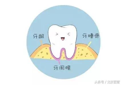 刷牙牙龈老是出血是上火了吗,刷牙牙龈爱出血是上火嘛