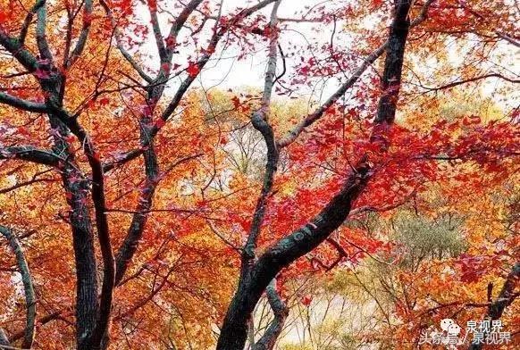 泉州未来五年的发展,2021年泉州迎来飞速发展