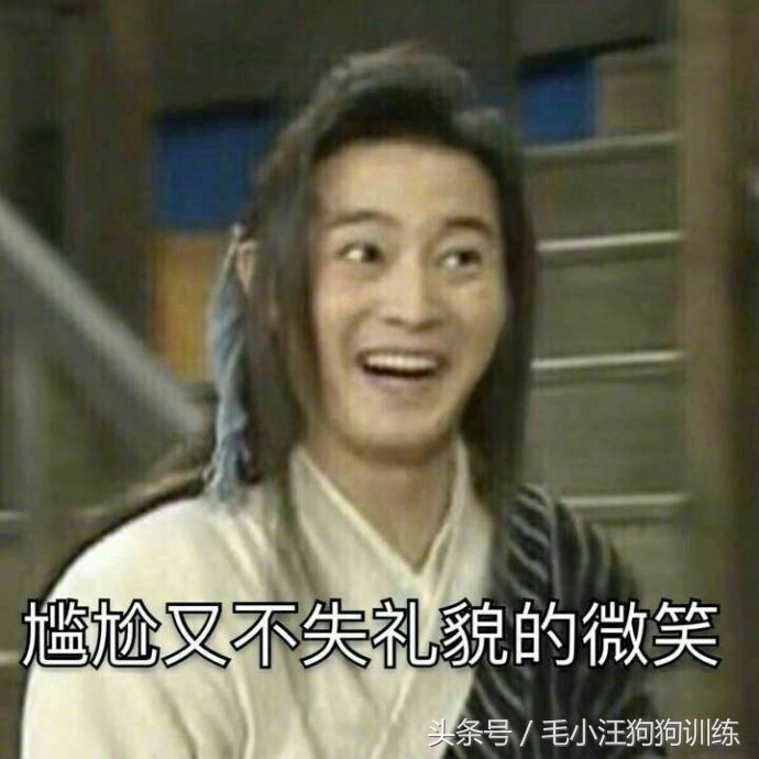 金毛狗狗合理的喂养方法,狗狗贪吃怎么训练