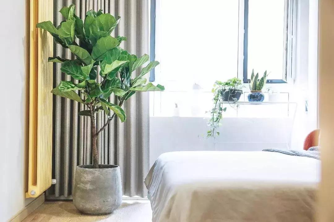 六十岁老人装修风格怎么搭配,适合50-60岁老人的装修风格