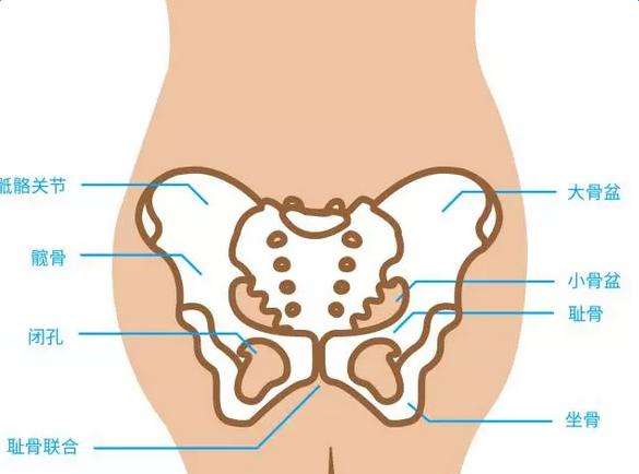 孕期长的东西产后都会消失吗,怀孕时没有妊娠纹生完就出现了