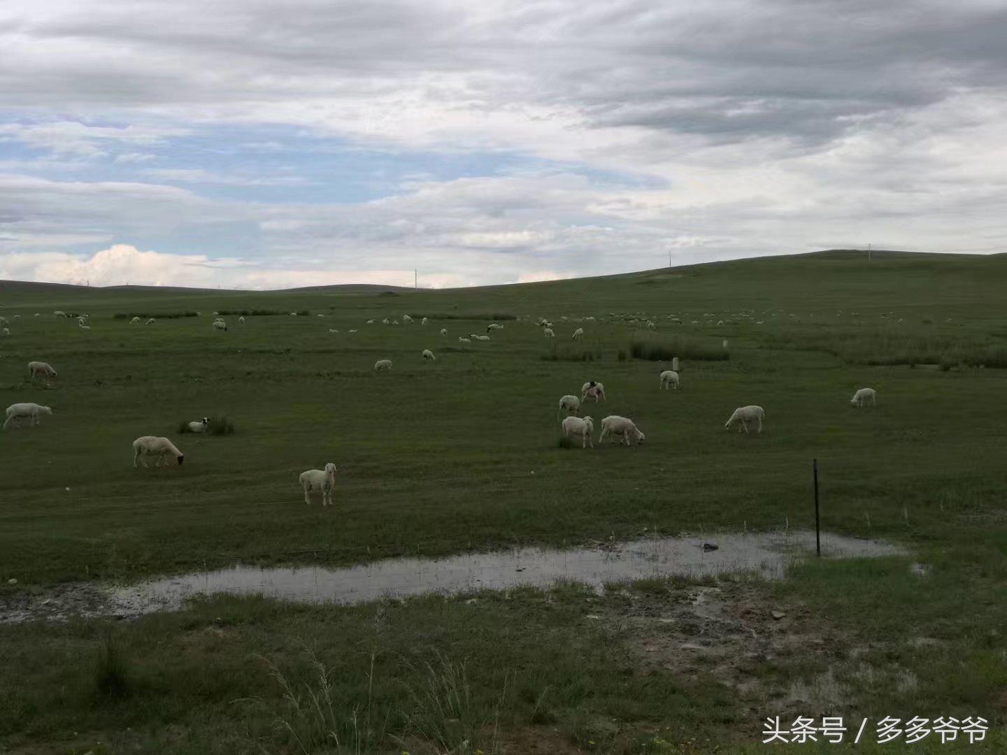 锡林郭勒盟边境自驾穿越,锡林郭勒大草原中蒙边境游