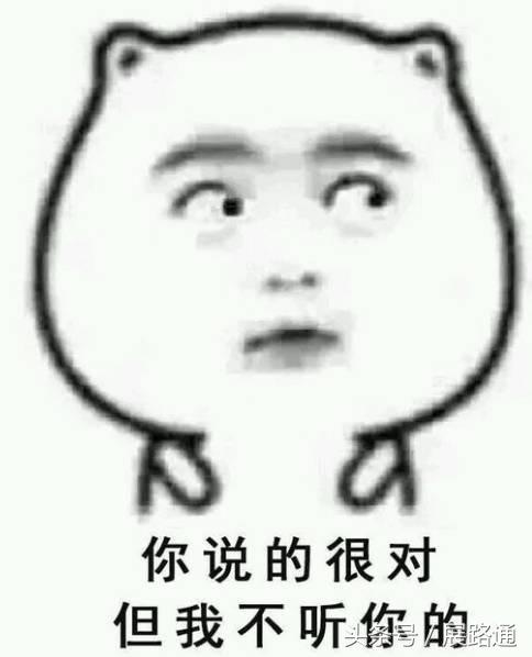 互联网创业入门基础知识,要想在互联网上赚钱要学会什么