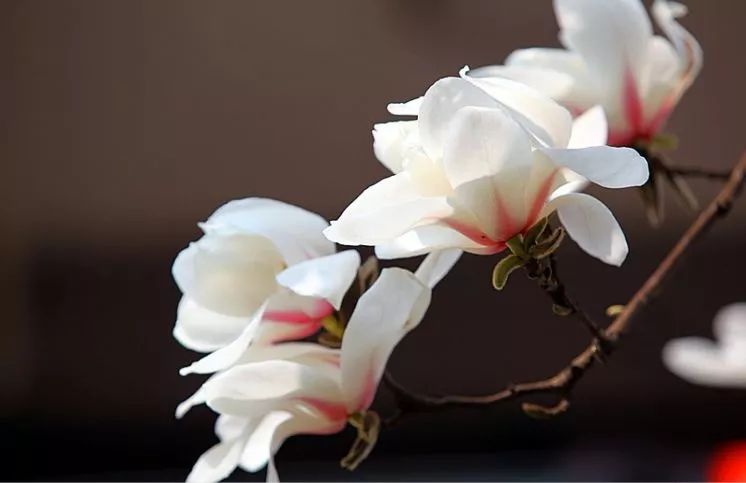 郑州一秒入夏的视频,民生大参考最新视频郑州一秒入夏