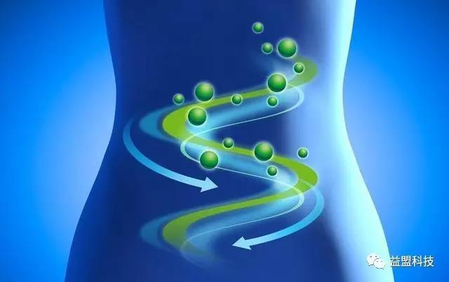 春节吃油腻了教您轻松解腻法,春节吃得太油腻了可以吃啥