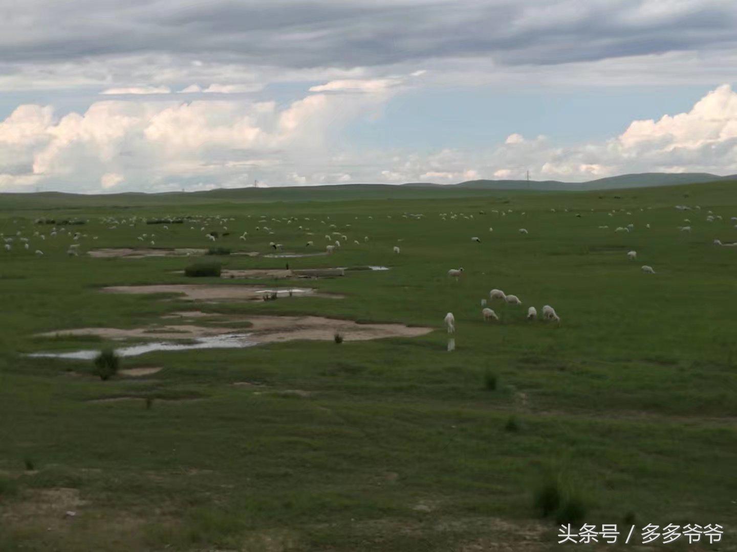 锡林郭勒盟边境自驾穿越,锡林郭勒大草原中蒙边境游