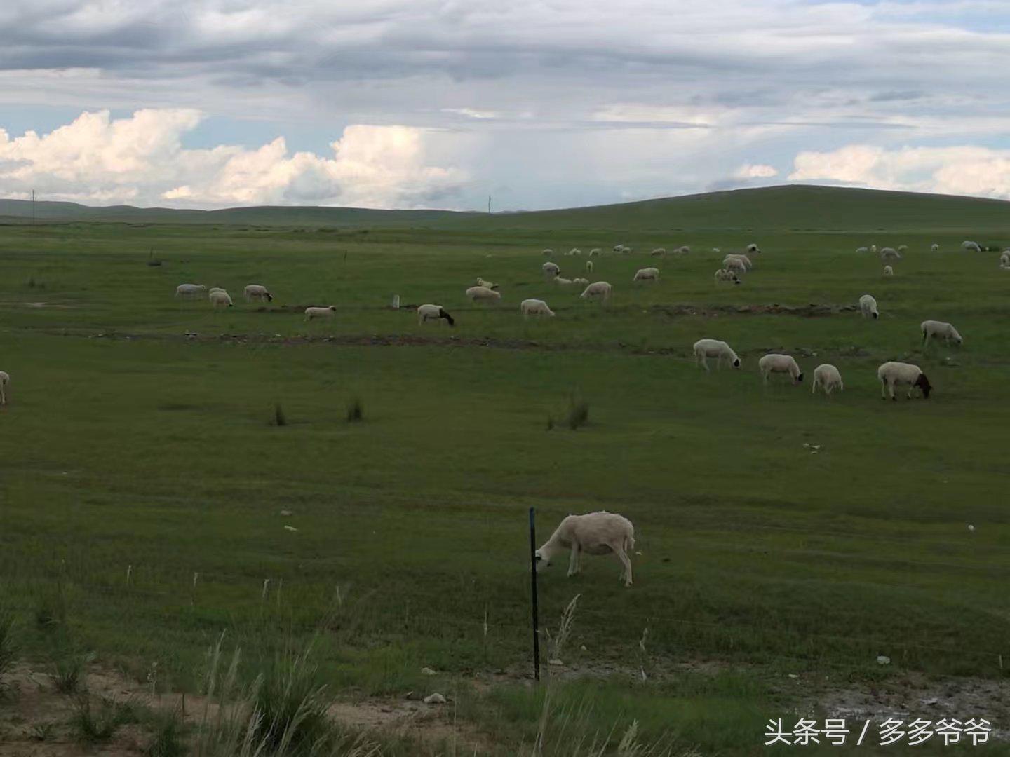 锡林郭勒盟边境自驾穿越,锡林郭勒大草原中蒙边境游