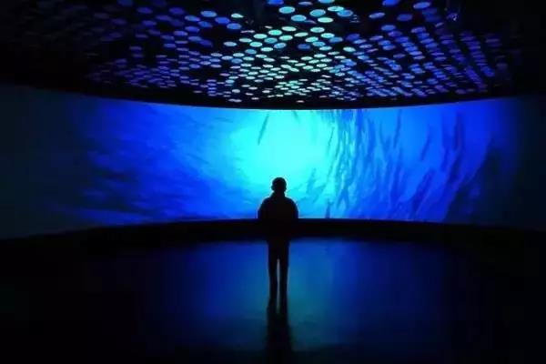 上海免费好玩的地方推荐带孩子,一日游适合带孩子玩的景点上海