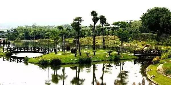 上海免费好玩的地方推荐带孩子,一日游适合带孩子玩的景点上海