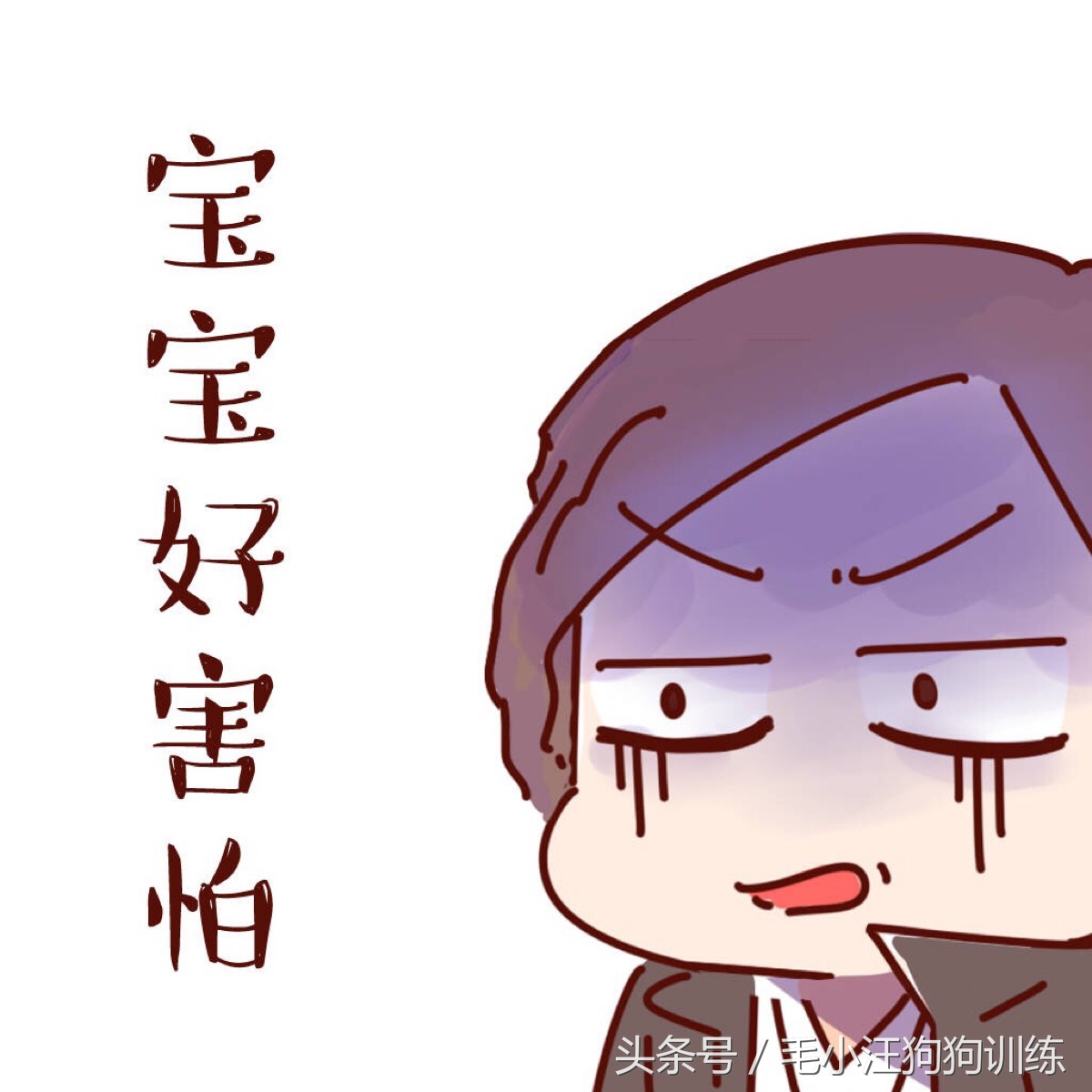 金毛狗狗合理的喂养方法,狗狗贪吃怎么训练