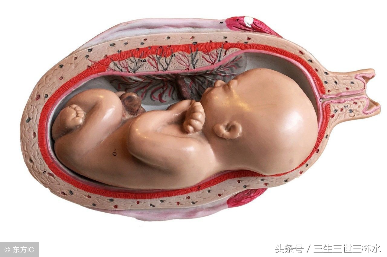 前置胎盘危害有哪些,前置胎盘的危害及原因