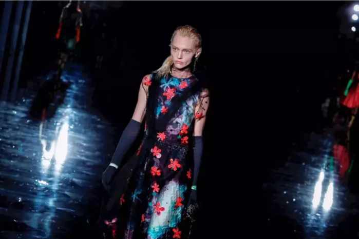 抱着狗狗走秀,抱着狗狗模特走秀视频