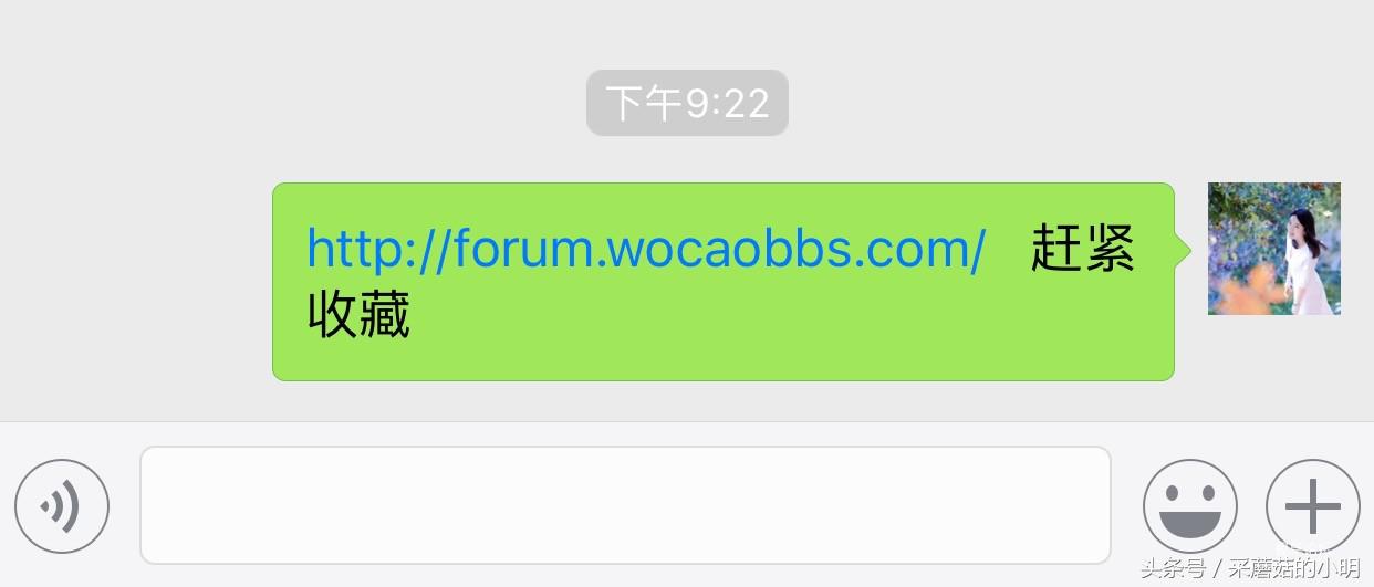 微信群发突破200人和文件限制技巧