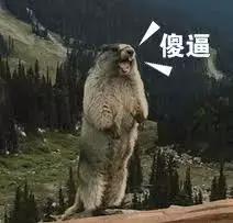 “这孕妇钙片我不要了，你留着自己吃吧”帮人代购却没落下好下场