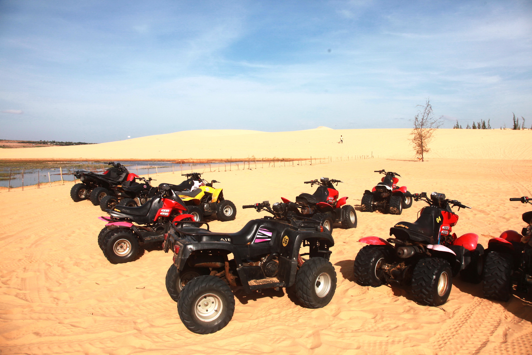 越南旅游景点大全排名前十名,越南旅游景点必去的地方