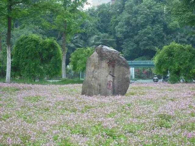 生活在宜昌是怎样一种体验,在宜昌一中读书是怎样的感觉
