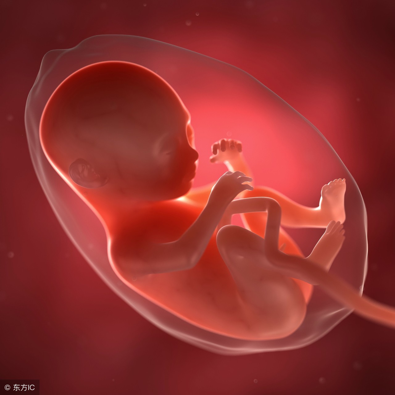 胎盘低置离宫口16毫米能生吗,胎盘距离宫颈口多少算胎盘低置