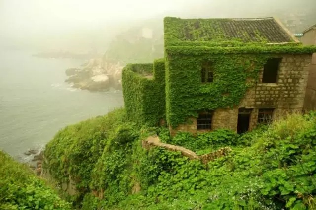 现实中的绿野仙踪,现实中真实版绿野仙踪