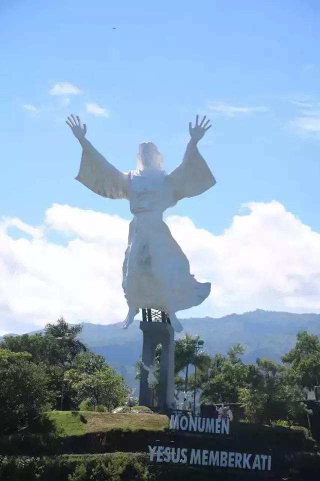 美娜多11月,为你还原真实燕窝