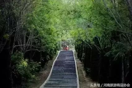 玩转洛阳多少钱,玩转洛阳市