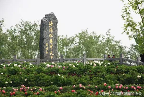 玩转洛阳多少钱,玩转洛阳市