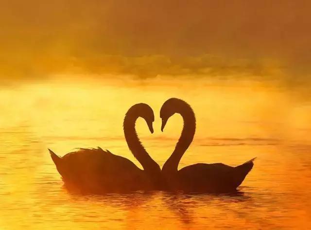 理科生的表白文科生看不懂,收到别人的匿名表白要怎么回复