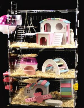 仓鼠虚弱嘴巴油怎么办,仓鼠伪冬眠后咬我怎么办