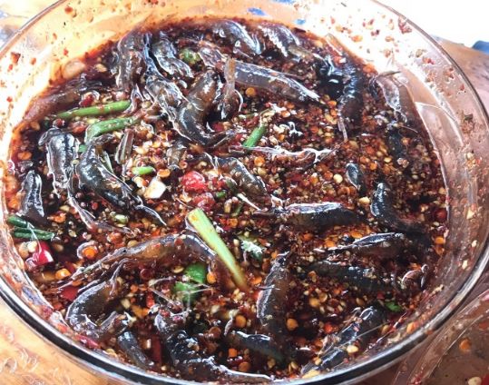 四川彭州2日游攻略,四川西昌旅游二日游攻略大全