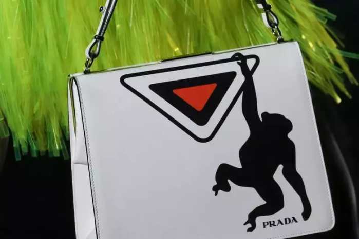 抱着狗狗走秀,抱着狗狗模特走秀视频