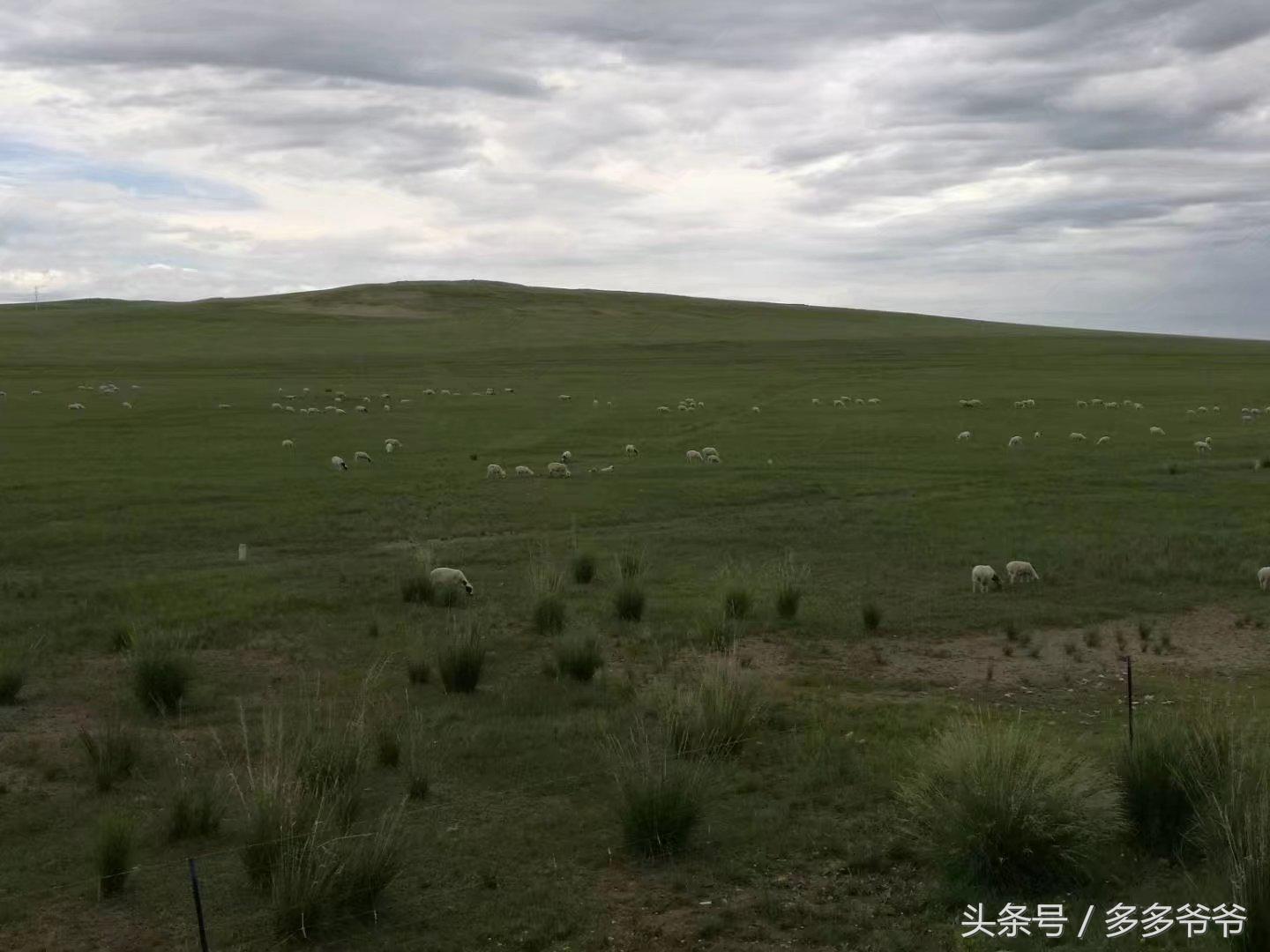 锡林郭勒盟边境自驾穿越,锡林郭勒大草原中蒙边境游