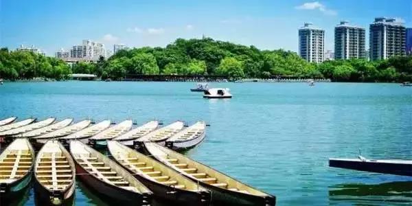 上海免费好玩的地方推荐带孩子,一日游适合带孩子玩的景点上海