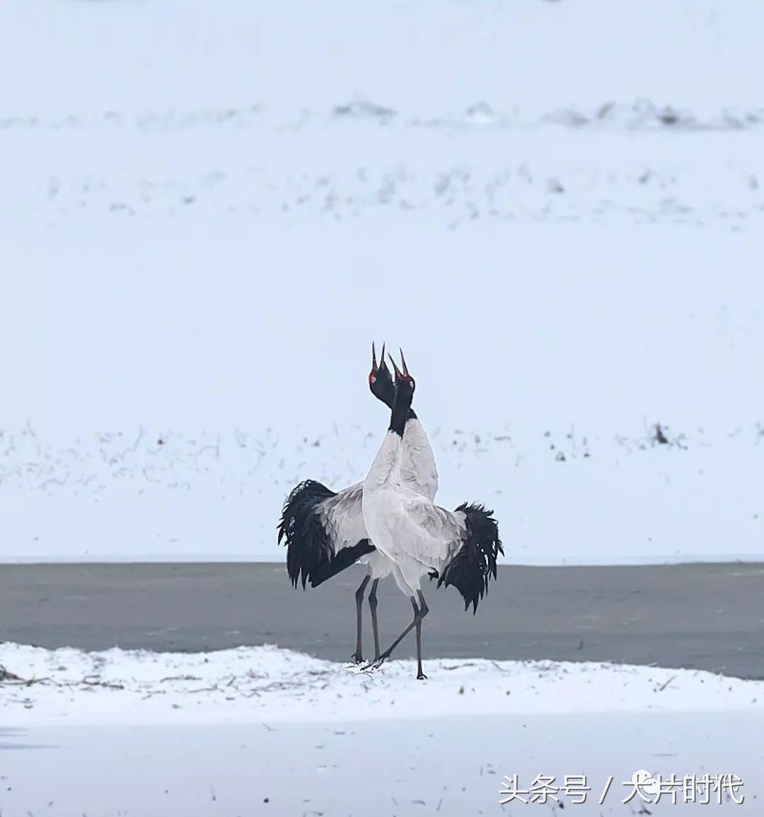 美丽中国摄影片段,38集美丽中国