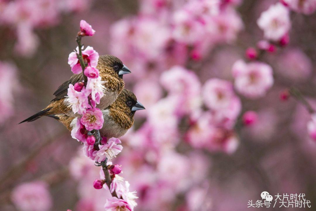 美丽中国摄影片段,38集美丽中国