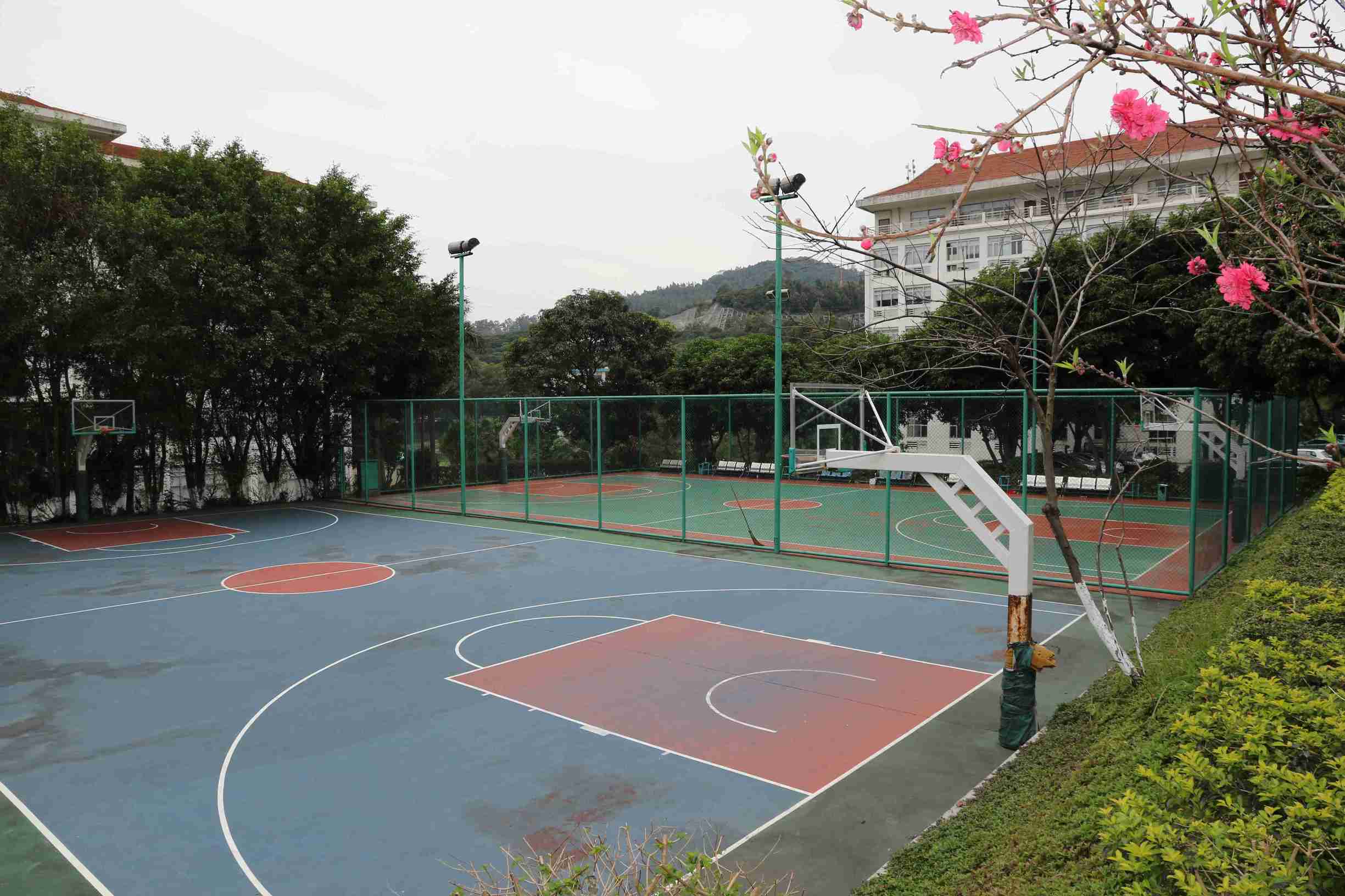 深圳赛亿科技有限公司,深圳市赛亿科技开发有限公司产品